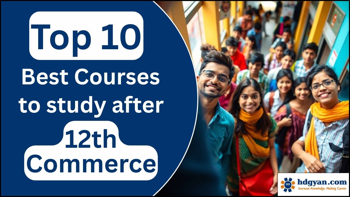 best courses to study after 12th commerce